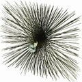 Meeco Mfg Co CHIMNEY BRUSH SQUARE WIRE 12 IN 31212
